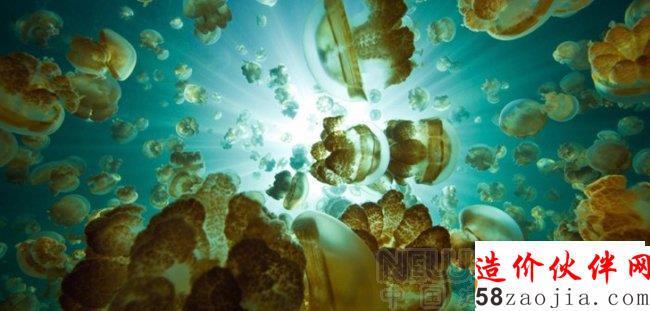菲建筑師設(shè)計(jì)水母形生態(tài)小屋 取代水上貧民窟
