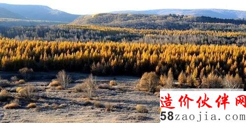 京津周邊風(fēng)沙源治理一期工程內(nèi)蒙古克什克騰旗黃崗梁項目區(qū)內(nèi)的幼林(10月7日攝)。新華社記者 張領(lǐng) 攝